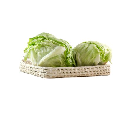 LECHUGA REPOLLADA X KG.