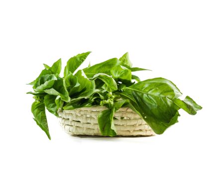 ALBAHACA X UN.