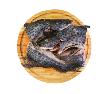 PESCADO MANDI´I X KL