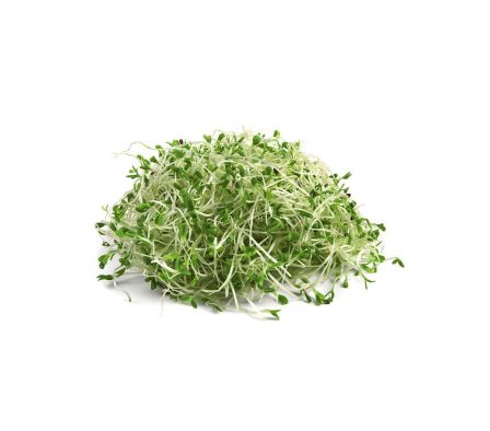 BROTES DE ALFALFA.