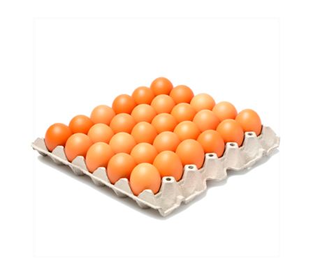 HUEVOS TIPO B AVINATUR 30 UN.