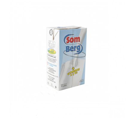BEBIDA LACTEA SOMBERG SEMIDES. TETRA 1 LT (12)