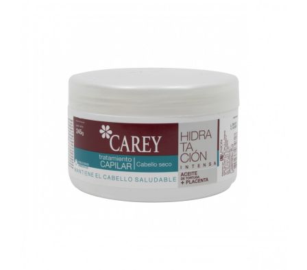TRATAMIENTO CAREY CAPILAR CAB.SECO X 245GR (6)
