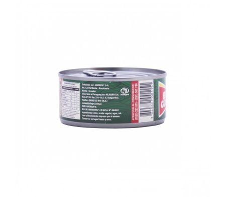 ATUN EN TROZOS BON GUSTO AL ACEITE (48)