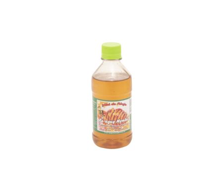 MIEL DE ABEJA KAAGUY MYMBA 460 GR